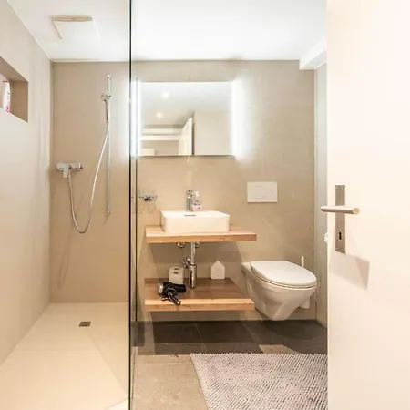 公寓 Loft Hoehematte By Interhome 因特拉肯