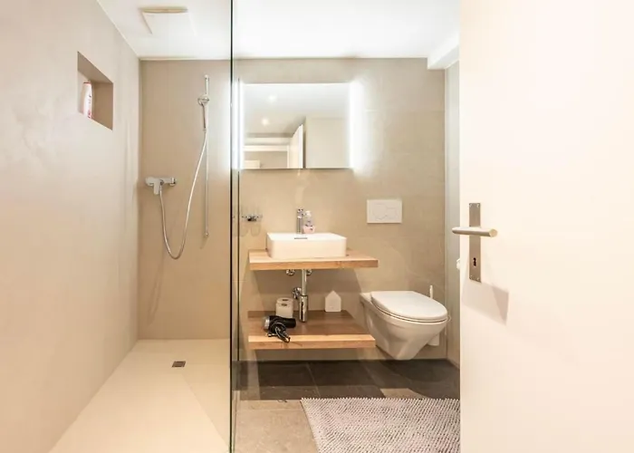 公寓 Loft Hoehematte By Interhome 因特拉肯